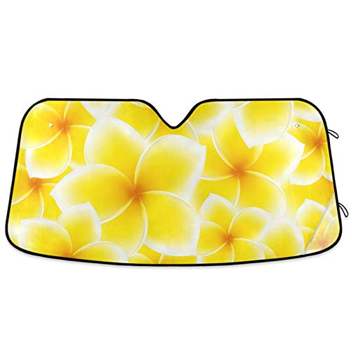 Beautiful Women Eye Car Windshield Sun Shade Eyelashes Makeup Foldable UV Ray Sun Visor Protector Sunshade to Keep Your Vehicle Cool (55" x 27.6")